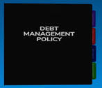 The Use of Debt Policies to Manage Risk