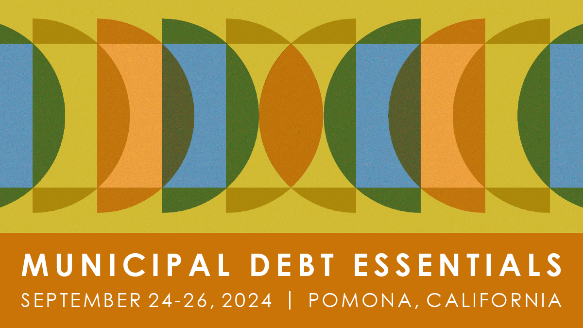 Exploring the Dimensions of Municipal Credits