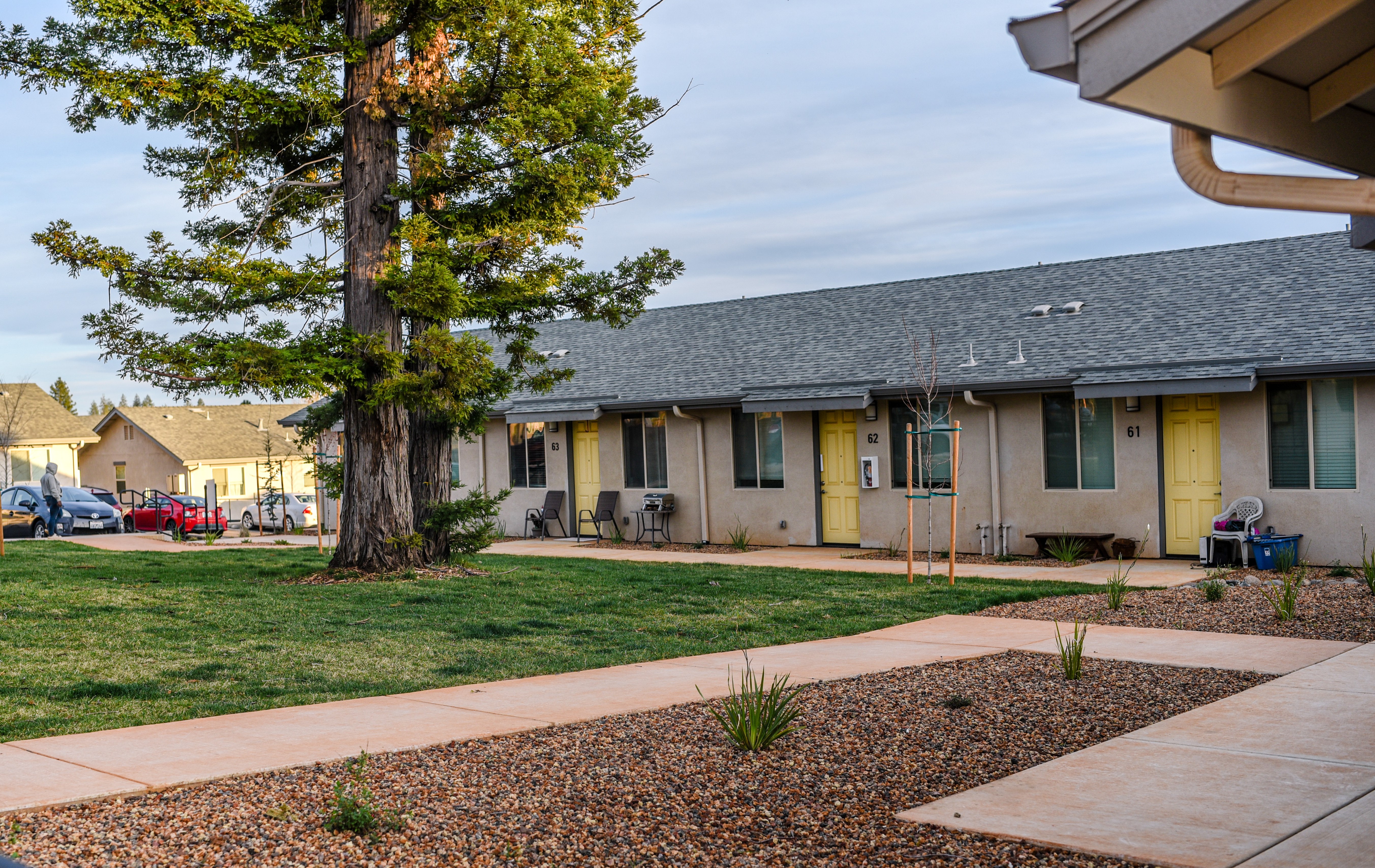 Ensuring compliance with federal and state laws and regulations